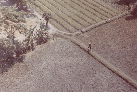 (70)  Probably a farmer (by day).